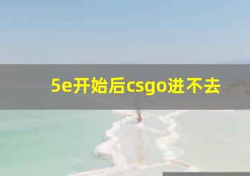 5e开始后csgo进不去