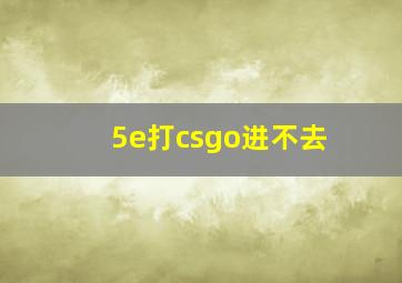 5e打csgo进不去