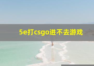 5e打csgo进不去游戏