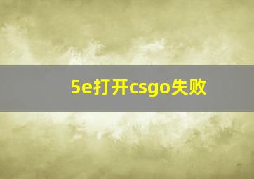 5e打开csgo失败