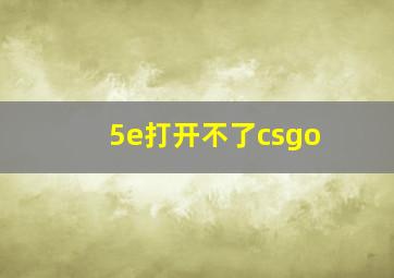 5e打开不了csgo