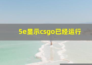 5e显示csgo已经运行