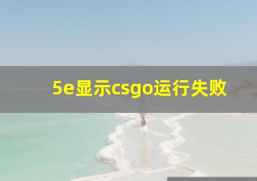 5e显示csgo运行失败