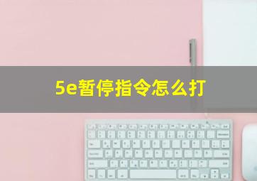 5e暂停指令怎么打