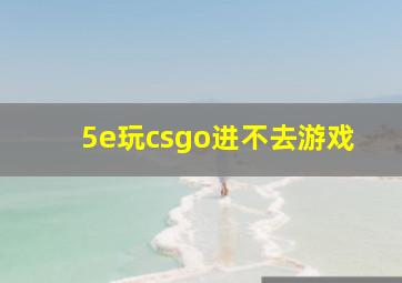 5e玩csgo进不去游戏