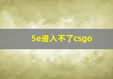 5e进入不了csgo