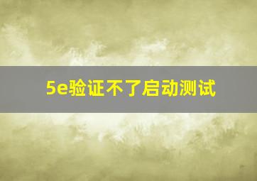 5e验证不了启动测试