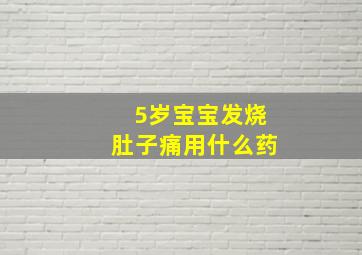 5岁宝宝发烧肚子痛用什么药