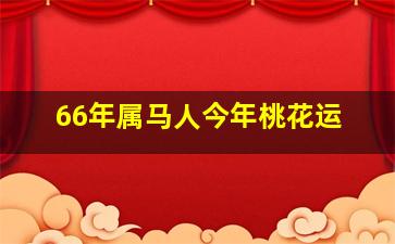 66年属马人今年桃花运