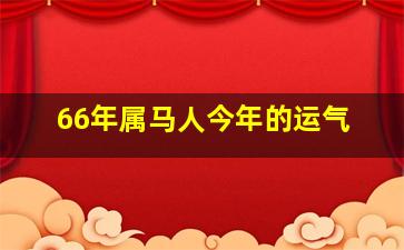 66年属马人今年的运气