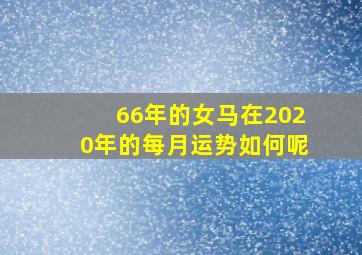 66年的女马在2020年的每月运势如何呢