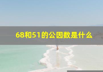 68和51的公因数是什么