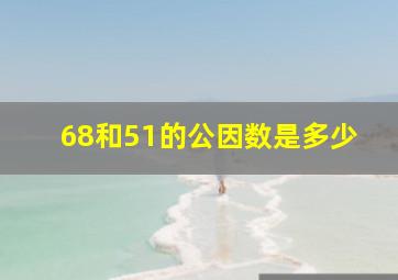 68和51的公因数是多少