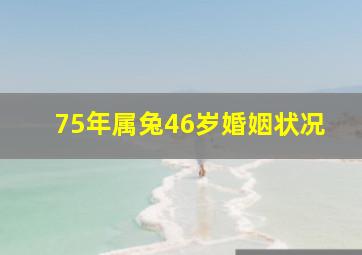 75年属兔46岁婚姻状况