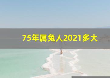 75年属兔人2021多大