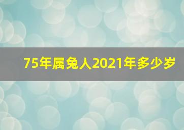 75年属兔人2021年多少岁