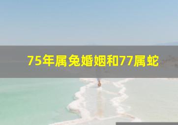 75年属兔婚姻和77属蛇