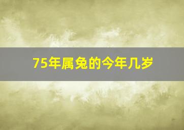 75年属兔的今年几岁