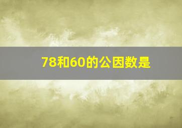 78和60的公因数是