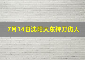 7月14日沈阳大东持刀伤人