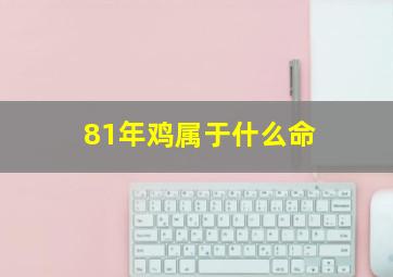 81年鸡属于什么命