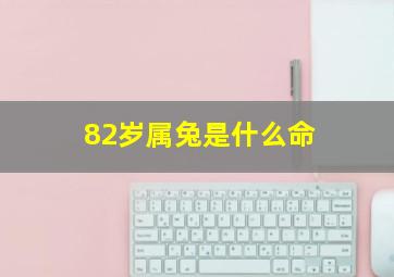 82岁属兔是什么命