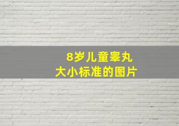 8岁儿童睾丸大小标准的图片