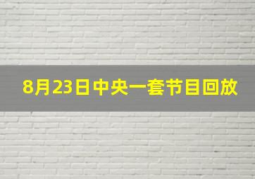 8月23日中央一套节目回放