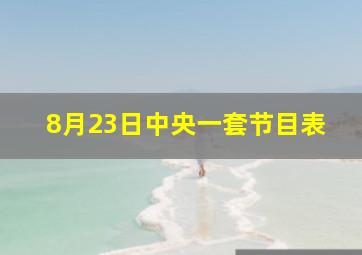 8月23日中央一套节目表