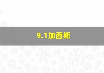 9.1加西斯