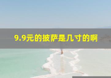 9.9元的披萨是几寸的啊