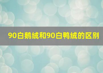 90白鹅绒和90白鸭绒的区别