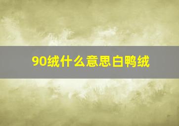 90绒什么意思白鸭绒