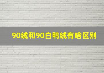 90绒和90白鸭绒有啥区别