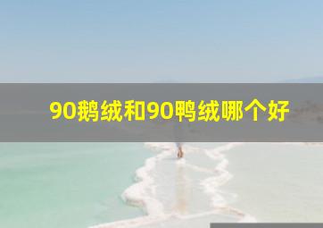 90鹅绒和90鸭绒哪个好