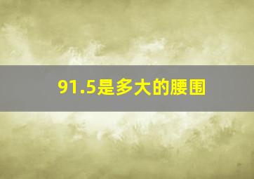 91.5是多大的腰围