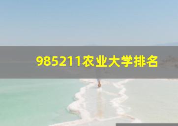 985211农业大学排名