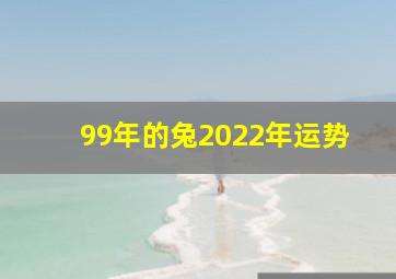 99年的兔2022年运势