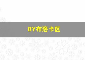 BY布洛卡区