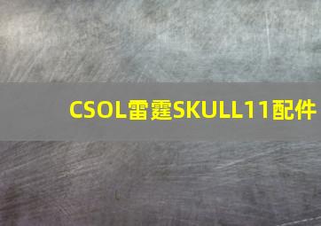 CSOL雷霆SKULL11配件