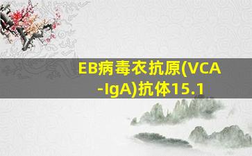 EB病毒衣抗原(VCA-IgA)抗体15.1