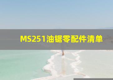 MS251油锯零配件清单