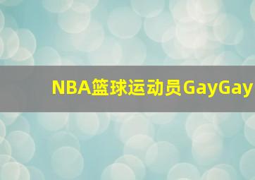 NBA篮球运动员GayGay