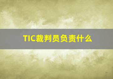 TIC裁判员负责什么