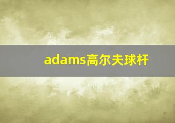 adams高尔夫球杆