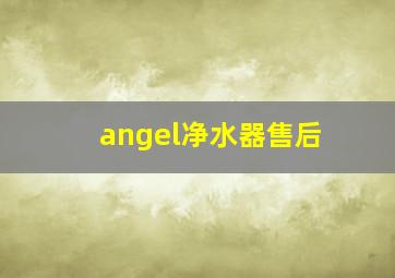 angel净水器售后