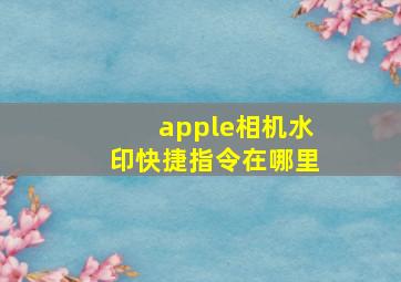 apple相机水印快捷指令在哪里