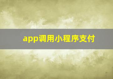 app调用小程序支付