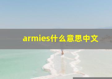 armies什么意思中文