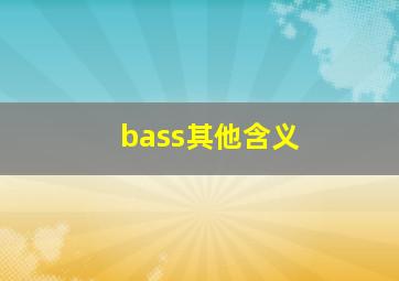 bass其他含义